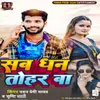 About Sab Dhan Tohar Ba Song